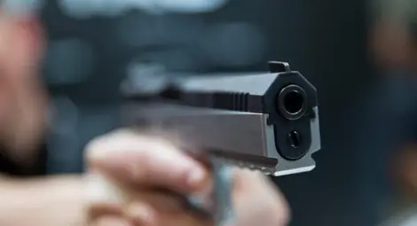 Две породисти кучета застреляни пред стопанина им по време на разходка