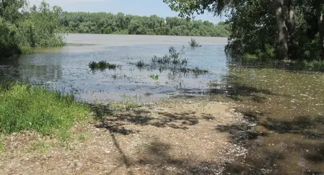 Започва денонощно наблюдение на прииждащия Дунав Започва денонощно наблюдение на прииждащия Дунав
