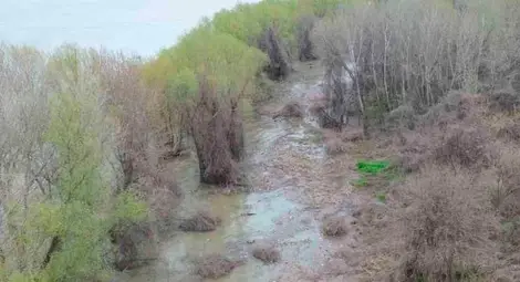 Река Дунав преля при силистренското село Попина