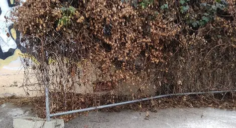 Купонджиите са преместили метални пана от оградата на Военния клуб заедно с бетоновите им &bdquo;крака&ldquo;.         Снимка: Авторът