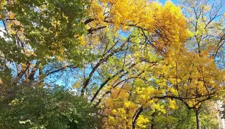 Снимка: Елица Ангелова