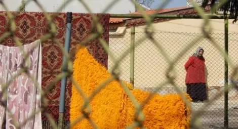 Германската мечта на видинските роми