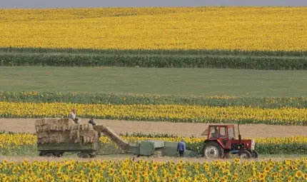 Измамниците с европари лъсват в интернет Измамниците с европари лъсват в интернет