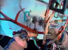 Професията да подушваш предмети