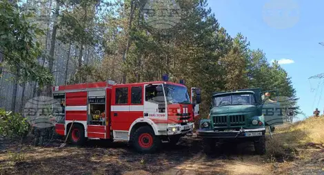 Снимка: БТА Снимка: БТА