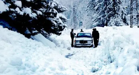 Селфи преди лавината погубило планинарите на Витоша