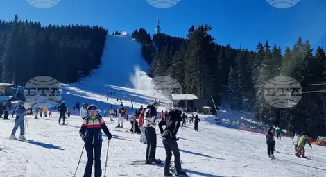 Снимка: БТА