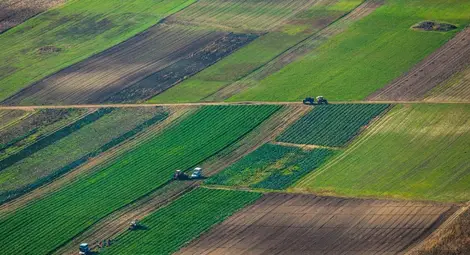 Кампанията за директните плащания на  фермерите може да се удължи със седмица