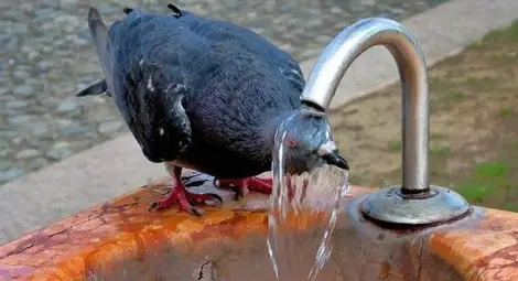 Най-горещо в Плевен и Велико Търново