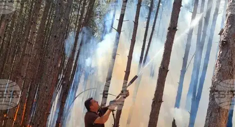 Снимка: БТА