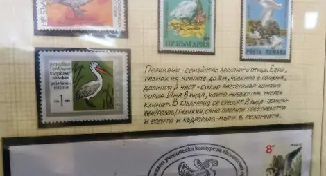 Филателна изложба в Силистра припомни началото на пощенските услуги в България