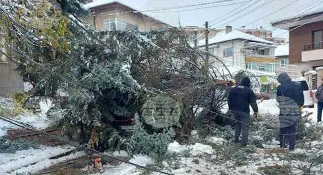 Снимка: БТА Снимка: БТА