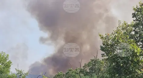 Снимка: БТА Снимка: БТА