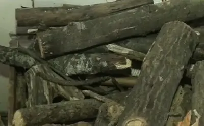 Европа ни забранява да се отопляваме на дърва и въглища