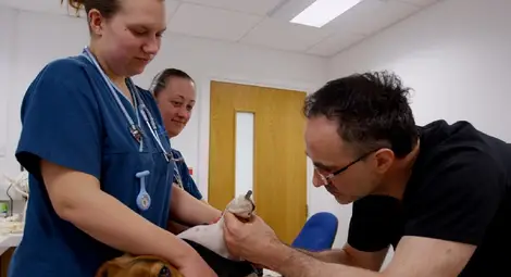 Един от най-добрите ветеринари в света &ndash; по Viasat Nature 