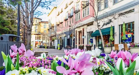 Търси се кой е най-добрият град за живеене у нас?