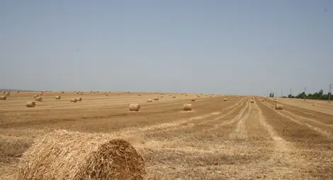 Арендаторите изплатиха  рентите за белите петна