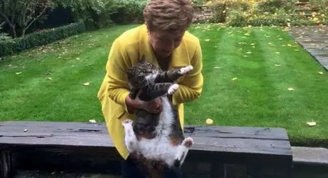 Кристалина се сгъна от тежестта на исполински котарак 