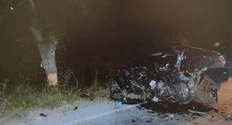 50-годишен русенец загина при удар в крайпътно дърво до Цар Калоян