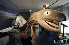 Закусващото с китове легендарно чудовище Кракен е същестувало Закусващото с китове легендарно чудовище Кракен е същестувало