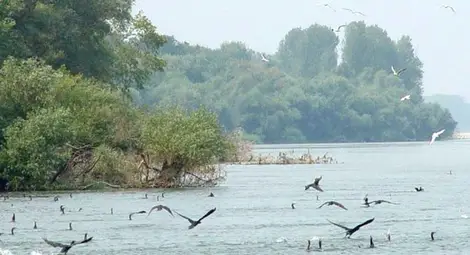 Самоходка със секция заседна до остров Милка