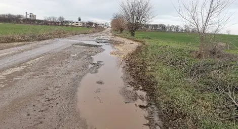 Снимка: Шабан Гацалов