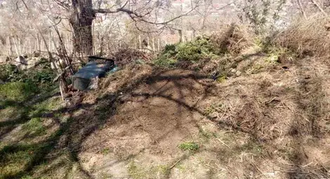 Гражданин алармира: Гробищата в Червена вода тънат в боклуци