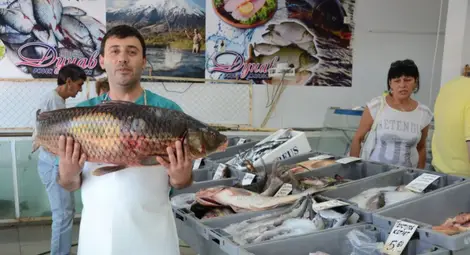 Прясна риба, уловена от рибарите в Тутракан и Батин, изкушава русенци