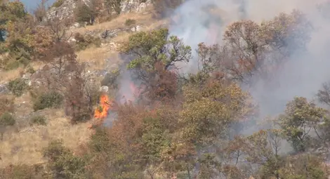 Пожар в подножието на Бузлуджа заради пикник