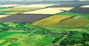 До 100 лева за декар стигна рентата за държавните ниви