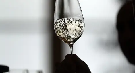 Бялото вино заздравява костите