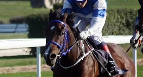 Сандрово прави атрактивни конни надбягвания в 8 гари