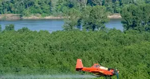 Общината обяви отдалеч поръчка за пръскането срещу комари