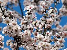 Три дни до пролет 2014