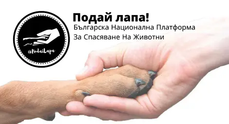 Благотворителен ZooMаркет в помощ на животните на България