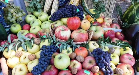 Овощарите искат промени в наредбата за директни доставки Овощарите искат промени в наредбата за директни доставки