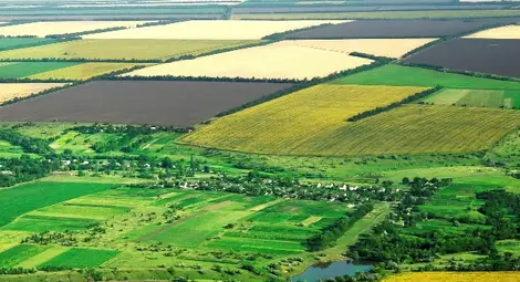 Земята мина 3000 лева на декар, но рентите може да тръгнат надолу