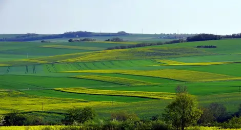 Рентата за държавни ниви удари таван от 140 лева
