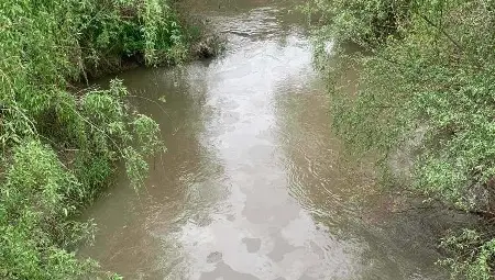 Проверяват автосервизите около Сарайския мост за петролен филм във водите на Русенски Лом