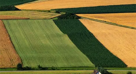 Омбудсманът иска ускоряване на процеса за рентно плащане за "белите петна"