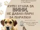 Ученици от Търговище създават постери срещу използването на пиратки и в подкрепа на осиновяването на кучета от общинския приют