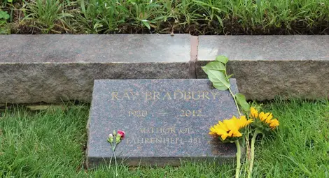 Вино от глухарчета за Мистър Фаренхайт 451