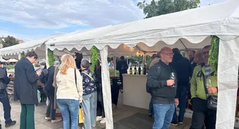 Виненият експерт Анелия Христова: Местните сортове са нашата идентичност - всеки показва характера на района по най-добрия начин Виненият експерт Анелия Христова: Местните сортове са нашата идентичност - всеки показва характера на района по най-добрия начин