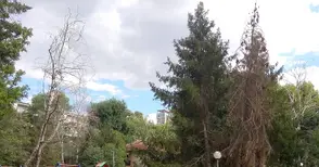 Експерти разписаха концепция за обновяване на зелената система на Русе