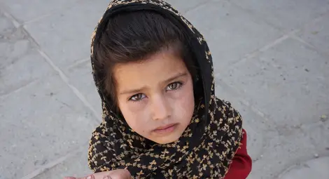 Канал за износ на деца за просия в Германия разкрит на Дунав мост