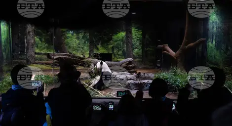 Снимка: БТА Снимка: БТА