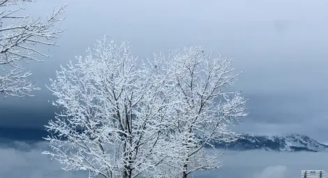 Снегът си отива утре