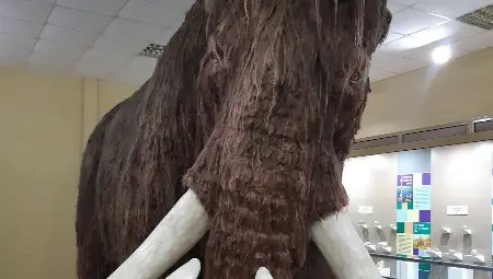 Екомузеят кани търсачи на великденски яйца