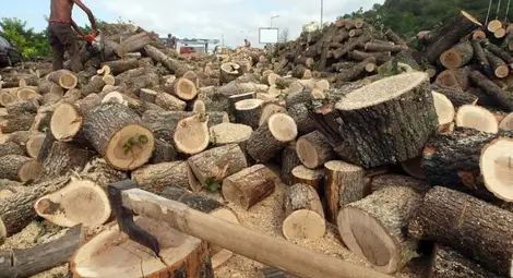 МОСВ: Няма забрана за отопление с дърва и въглища МОСВ: Няма забрана за отопление с дърва и въглища