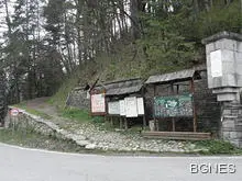 Смениха и директора на Агенцията по горите Смениха и директора на Агенцията по горите